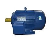 Premium Efficiency 3 Phase Asynchronous Electric Motor With High Starting Torque