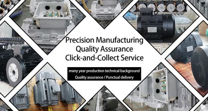 वाणिज्यिक स्वच्छ मशीनों के लिए आरए इंटरपंप के साथ 7KW खोखले शाफ्ट मोटर 11