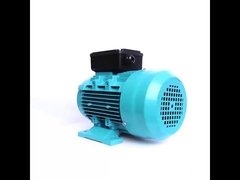 प्रेरण मोटर एकल चरण