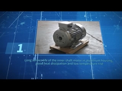 ZOZHI HS100L3-4 5.5HP/4KW होलो शाफ़्ट मोटर काला रंग