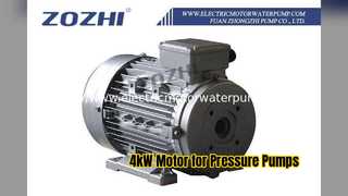 उच्च दबाव पंपों के लिए 4kW खोखला शाफ्ट मोटर