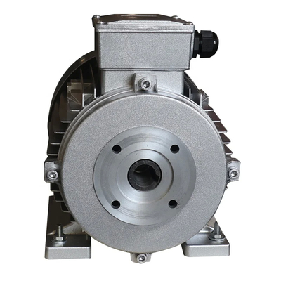 3 Phase Induction Motor with IMB3/IMB5 Mounting for High Speed Applications