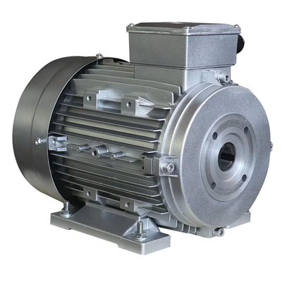 IC411 Cooling Method High Speed Hollow Shaft Motor Made In Manufactured