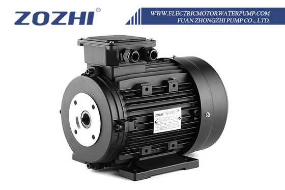 5.5KW Rated Power Hollow Shaft Motor for F Insulation Class and 112 Frame Size in Industrial