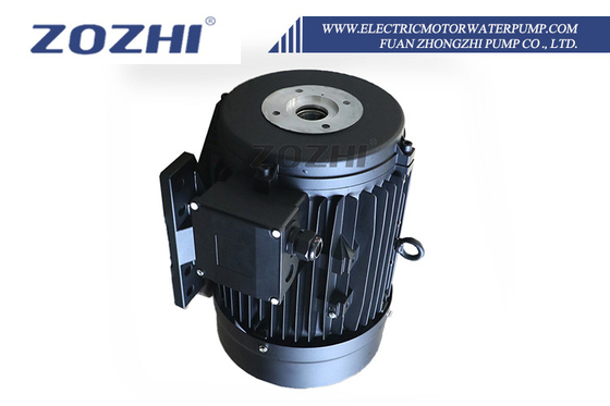 Customizable Hollow Shaft Motor for Specific Requirements Rated Frequency 50Hz Current 8.8A Iec Standard IE1