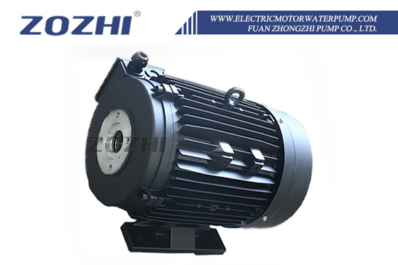 Durable Performance Hollow Shaft Motor with IP55 Protection Class and 2 Poles