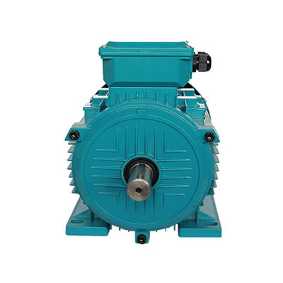 MS Series 3 Phase Induction Motor with Aluminum Housing 3KW/4HP 1400RPM for Industrial Applications