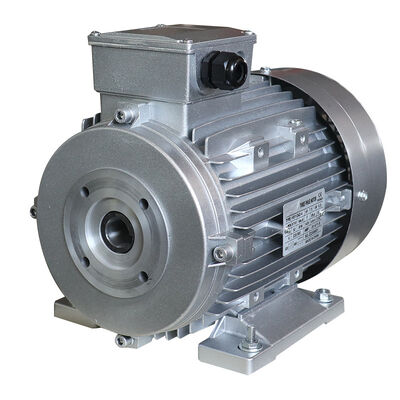 FAN Cooling Hollow Shaft Motor featuring Flange Mount design and Hollow Shaft Diameter Φ24mm ideal for precision machinery