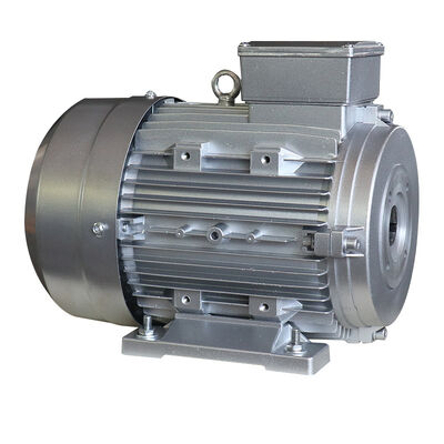 IP55 Protection Hollow Shaft Single Phase Motor with Hollow Shaft Diameter Φ24mm Designed to Provide Power Transmission