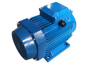 Little Vibration Three Phase Asynchronous Motor MS100L2-4 3KW 4HP 4 Pole General Driving
