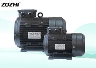 1400rpm 24mm Hollow Shaft Electric Motor 4hp/3kw IP55 For Cleaning Machine