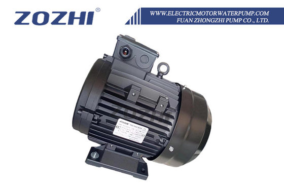 प्रेशर क्लीनर और वाशिंग प्लांट के लिए खोखले शाफ्ट मोटर 4KW 5.5HP B3 87/61 इंटरपंप के लिए खोखले शाफ्ट 24 मिमी IP55 संरक्षण 1400rpm तीन चरण 380V
