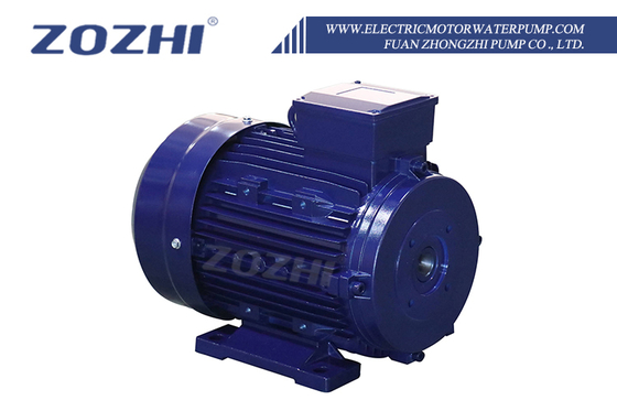 30HP 22KW एसी इलेक्ट्रिक इंडक्शन मोटर्स 24 मिमी खोखले शाफ्ट 1000rpm तीन चरण 50Hz आवृत्ति 380V एसी एल्यूमीनियम 60Hz संलग्न