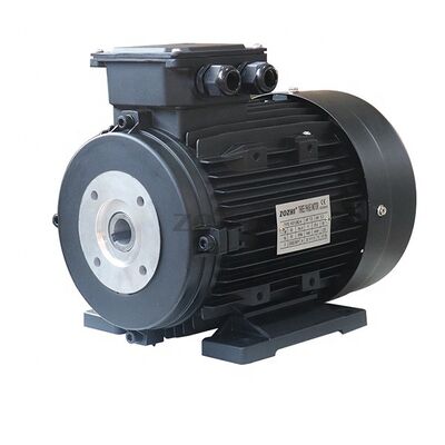 Rated Speed 750 to 3000rmin 3 Phase Induction Motor Perfect Choice for Conveyor Systems and Machine Tools Requiring Power
