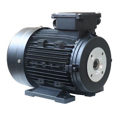 Die Cast Aluminum Housing Hollow Shaft AC Motor Perfect for Packaging Machinery Textile Equipment and Material Handling