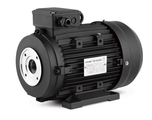 IP55 hollow shaft electric motor frame size 112 designed for seamless integration in industrial manufacturing processes