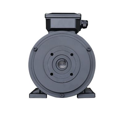 Life Span 3000h Hollow Shaft Motor Rated Power 7.5HP Insulation Class B Optimized for Heavy Duty Industrial Applications