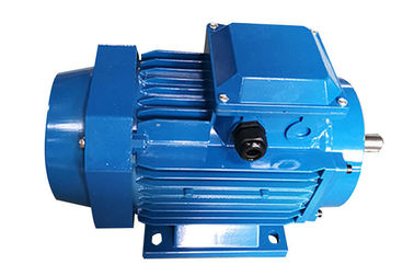 Delta Connection 3 Phase Synchronous Motor , MS100L2-4 4 Pole 3 Phase Motor